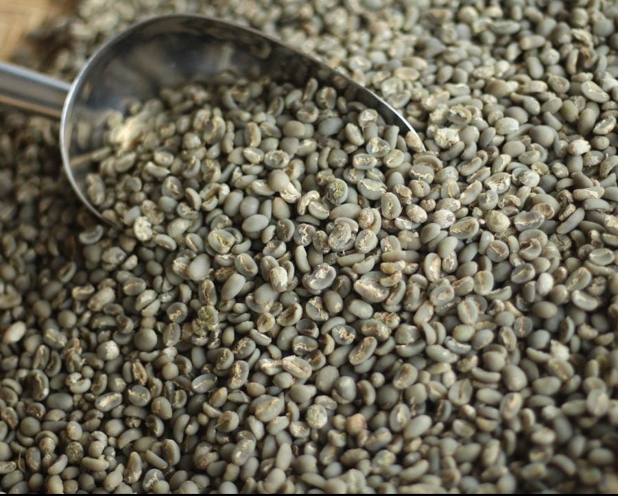 Biji Kopi Indonesia Grade Ekspor (Arabika & Robusta) – Green Coffee untuk Perdagangan Internasional